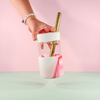 CANDY CANE - Original Straw Lid